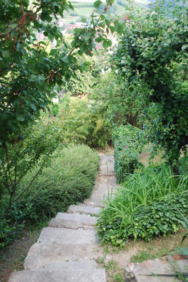 B&B Casa Margot เนเว ภายนอก รูปภาพ